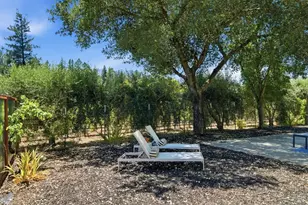 1121 Valley View St, Saint Helena, CA 94574 - Photo 5