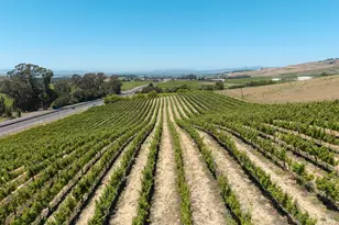 3800 Jameson Canyon Rd, Napa, CA 94558 - Photo 1