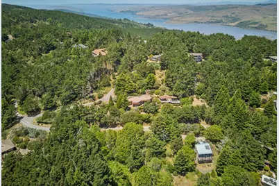 95 Sunnyside Drive, Inverness, CA 94937 - Photo 45