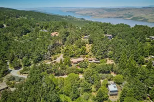 95 Sunnyside Dr, Inverness, CA 94937 - Photo 45