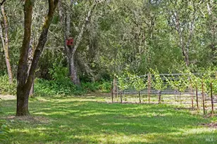 4542 Thomas Rd, Sebastopol, CA 95472 - Photo 35