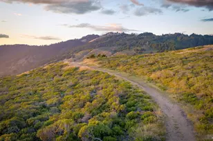 215 Belvedere Ave, Stinson Beach, CA 94970 - Photo 3