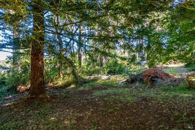 18949 Andrea Way, Fort Bragg, CA 95437 - Photo 35