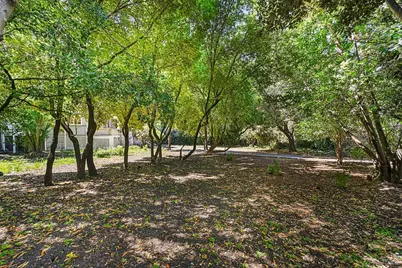 206 Saunders Avenue, San Anselmo, CA 94960 - Photo 49