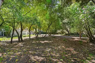 206 Saunders Ave, San Anselmo, CA 94960 - Photo 49