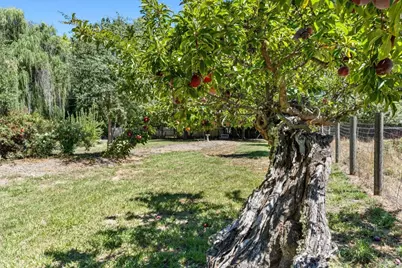24800 Mendocino Pass Road, Covelo, CA 95428 - Photo 31