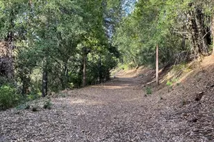6360 Wilson Hill Rd, Shingletown, CA 96088 - Photo 77