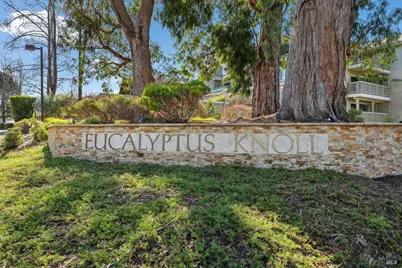 11 Eucalyptus Knoll Street, Mill Valley, CA 94941 - Photo 27
