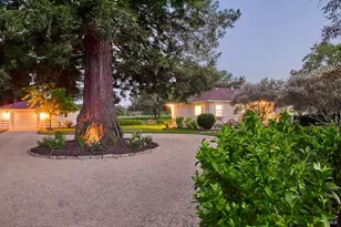 1015 Bale Ln, Calistoga, CA 94515 - Photo 29