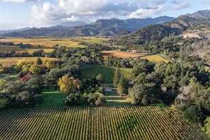 1015 Bale Ln, Calistoga, CA 94515 - Photo 41