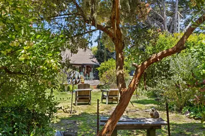 385 Cedar Road, Bolinas, CA 94924 - Photo 51