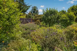 385 Cedar Rd, Bolinas, CA 94924 - Photo 41