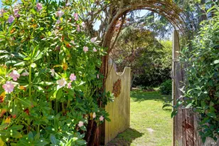 385 Cedar Rd, Bolinas, CA 94924 - Photo 47