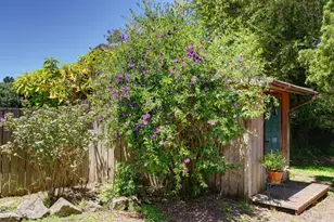 385 Cedar Rd, Bolinas, CA 94924 - Photo 65