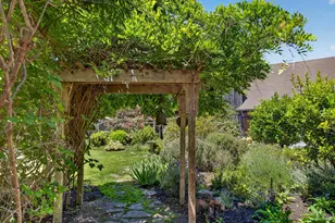 385 Cedar Rd, Bolinas, CA 94924 - Photo 53