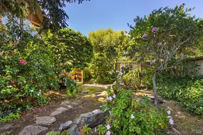 385 Cedar Road, Bolinas, CA 94924 - Photo 49