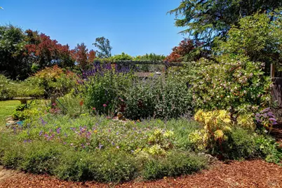 385 Cedar Road, Bolinas, CA 94924 - Photo 39