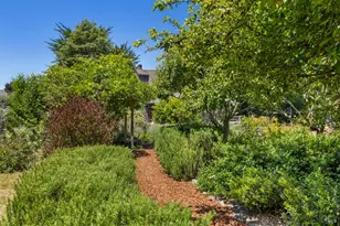 385 Cedar Rd, Bolinas, CA 94924 - Photo 53