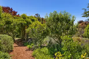 385 Cedar Rd, Bolinas, CA 94924 - Photo 55