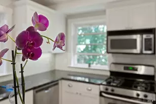 10 Pleasant Ln, San Rafael, CA 94901 - Photo 21