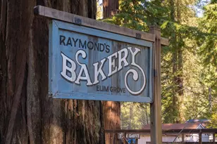 5765 Cazadero Hwy, Cazadero, CA 95421 - Photo 49