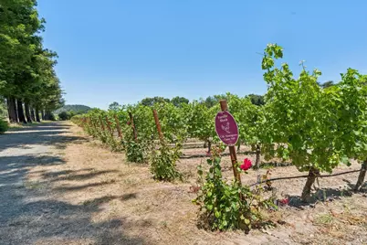 4210 Saint Helena Highway, Calistoga, CA 94515 - Photo 9