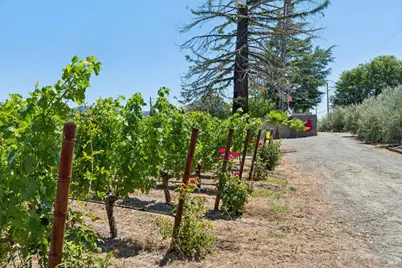 4210 Saint Helena Highway, Calistoga, CA 94515 - Photo 11