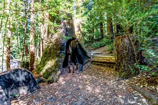 4350 Cazadero Hwy, Cazadero, CA 95421 - Photo 59