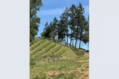8717 Mill Creek Road, Healdsburg, CA 95448 - Photo 3