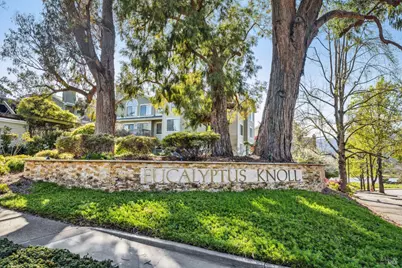 123 Eucalyptus Knoll Street, Mill Valley, CA 94941 - Photo 1