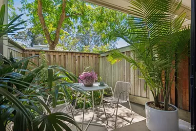 123 Eucalyptus Knoll Street, Mill Valley, CA 94941 - Photo 7