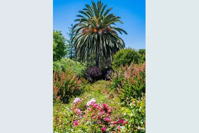 82 McNear Drive, San Rafael, CA 94901 - Photo 13