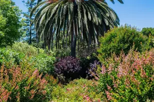 82 McNear Dr, San Rafael, CA 94901 - Photo 13