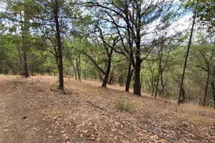 [Address not provided], Covelo, CA 95428 - Photo 13