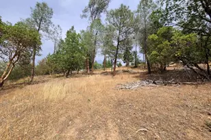 [Address not provided], Covelo, CA 95428 - Photo 3