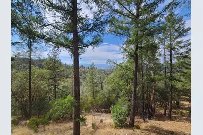 [Address not provided], Covelo, CA 95428 - Photo 19