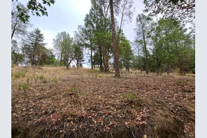 [Address not provided], Covelo, CA 95428 - Photo 27