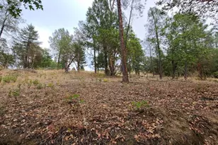 [Address not provided], Covelo, CA 95428 - Photo 27