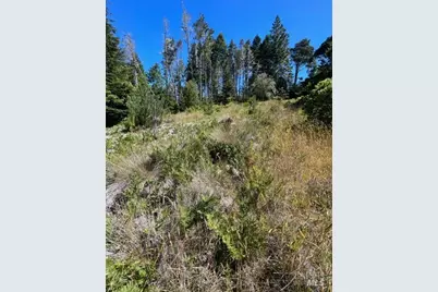 36018 Sea Ridge Road, The Sea Ranch, CA 95497 - Photo 5