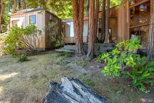 241 Moonraker Rd, The Sea Ranch, CA 95497 - Photo 49