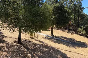 81 Scottsdale Way, Novato, CA 94947 - Photo 17