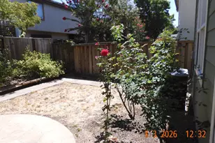 60 Wild Rye Way, Napa, CA 94558 - Photo 29