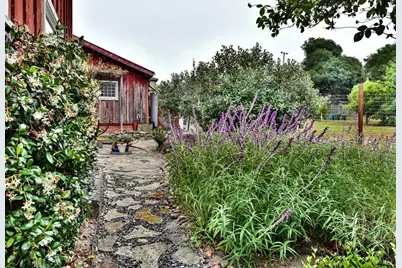 704 Bloomfield Road, Sebastopol, CA 95472 - Photo 37