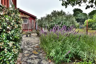 704 Bloomfield Rd, Sebastopol, CA 95472 - Photo 37
