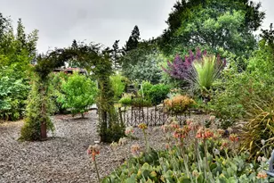 704 Bloomfield Rd, Sebastopol, CA 95472 - Photo 45