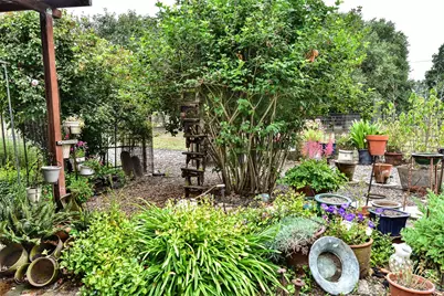 704 Bloomfield Road, Sebastopol, CA 95472 - Photo 39