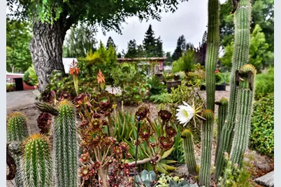 704 Bloomfield Road, Sebastopol, CA 95472 - Photo 43