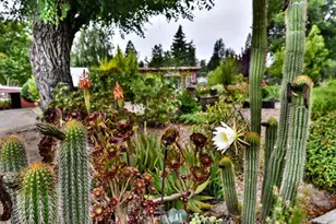 704 Bloomfield Rd, Sebastopol, CA 95472 - Photo 43
