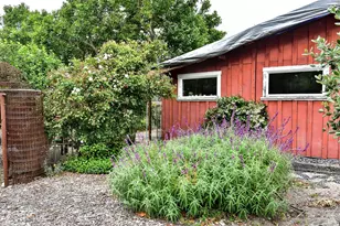704 Bloomfield Rd, Sebastopol, CA 95472 - Photo 31