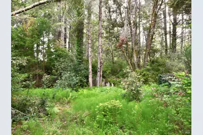 10776 Gurley Lane, Mendocino, CA 95460 - Photo 35